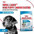 Royal Canin Mini Puppy корм сухой для щенков мелких пород возрасте до 10 месяцев, 4кг