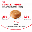 Royal Canin Yorkshire Terrier Adult корм сухой для взр.собак от 10 мес. породы Йоркшир.Терьер, 0,5кг