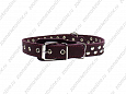 Ошейник Buddy однослойный кожаный клепаный фиолетовый 25мм 40-54см (621)
