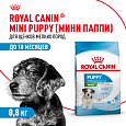Royal Canin Mini Puppy корм сухой для щенков мелких пород возрасте до 10 месяцев, 800г