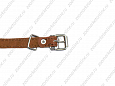 Намордник Buddy об19см L6см (щенки) (319)