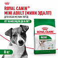 Royal Canin Mini Adult корм сухой для собак мелких пород в возрасте от 10 месяцев, 8кг