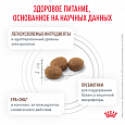 Royal Canin Gastrointestinal Low Fat Small Dogs корм сухой для взрослых собак мелких пород 1кг