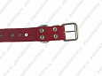 Ошейник Buddy однослойный кожаный с шипами красный 36мм 47-60см (062)