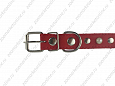 Ошейник Buddy однослойный кожаный украшенный красный 25мм 39-52см (034/2)