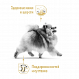 Royal Canin Yorkshire Terrier Adult 8+ корм сухой для стареющих собак породы Йоркшир. Терьер 1,5кг