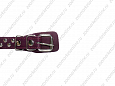 Ошейник Buddy однослойный кожаный клепаный фиолетовый 25мм 40-54см (621)