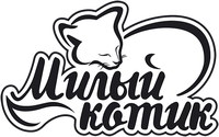 Милый котик