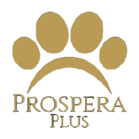 Prospera